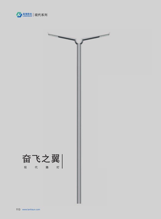 奋飞之翼