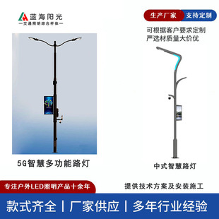 蓝海LED路灯002